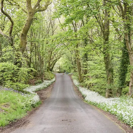 Eden Vale 布劳顿弗内斯