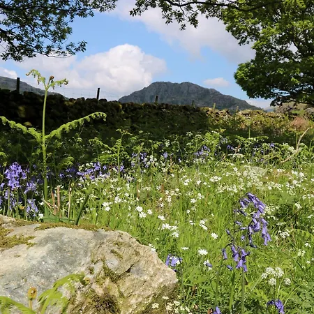 Eden Vale Ferienhaus Broughton in Furness